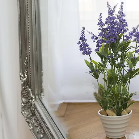 Amalfi Apartment
