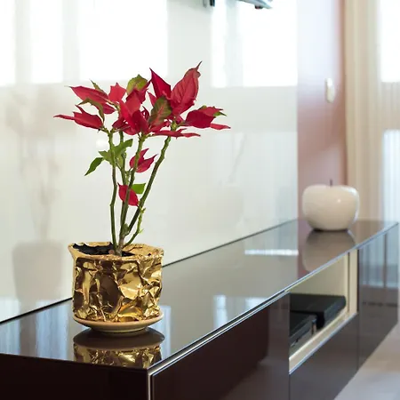 Amalfi Apartment *